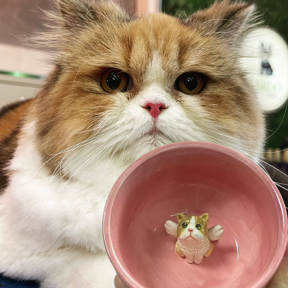 Personalized Pet Ceramic Mug – Handmade Pet Mug