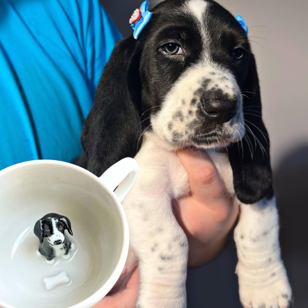 Handmade Custom Pet's Figure Ceramic Mug-Aesthetic [Customizable Order]
