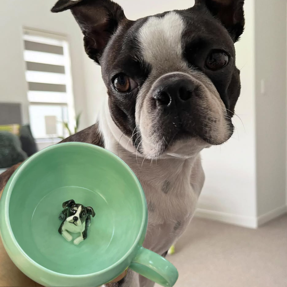 Handmade Custom Pet's Figure Ceramic Mug