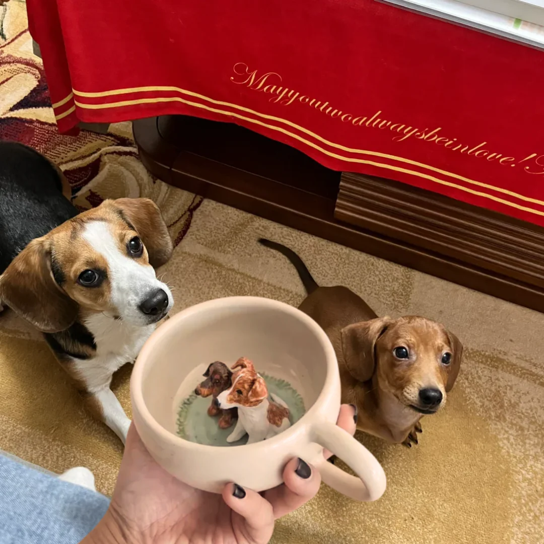 Handmade Custom Pet's Figure Ceramic Mug-Aesthetic [Customizable Order]